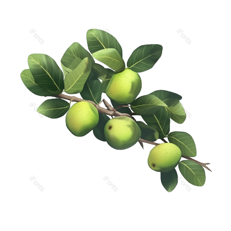 叶子图片,芒种元素,树叶PNG,绿色免抠素材